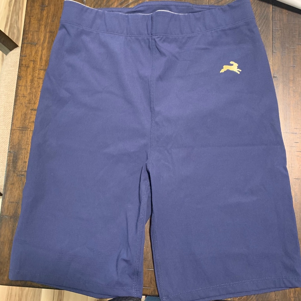 Tracksmith Allston Shorts